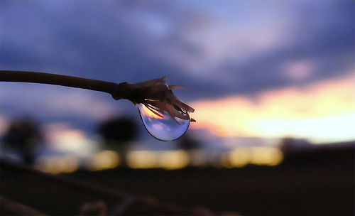 rain drops